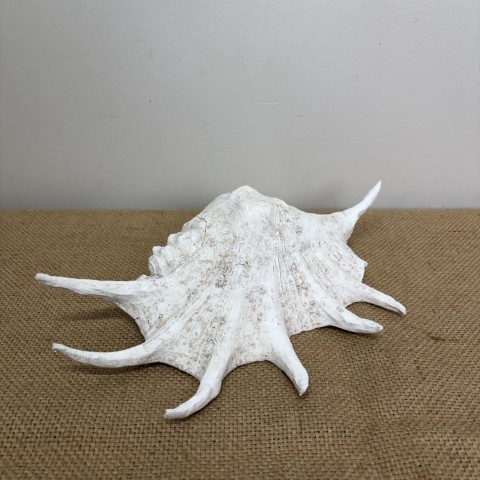 Faux Spider Conch Shell
