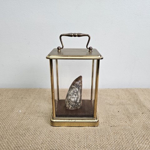 Decorative Scrimshaw Reproduction "The Dakota"