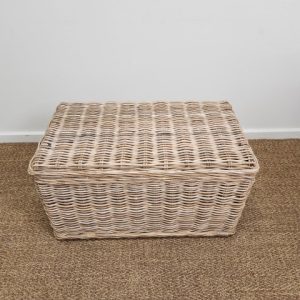 Large Grey Cane Storage Trunk