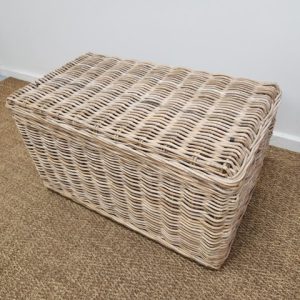 Large Grey Cane Storage Trunk