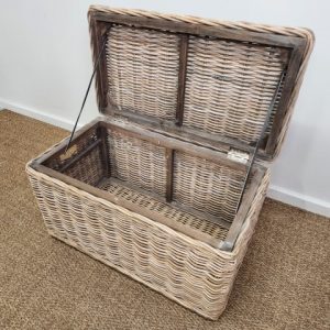 Large Grey Cane Storage Trunk