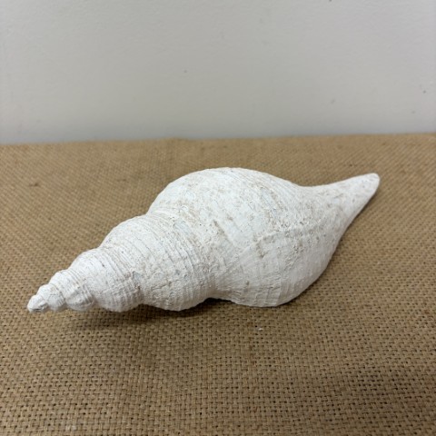 Faux Spiral Shell Decor
